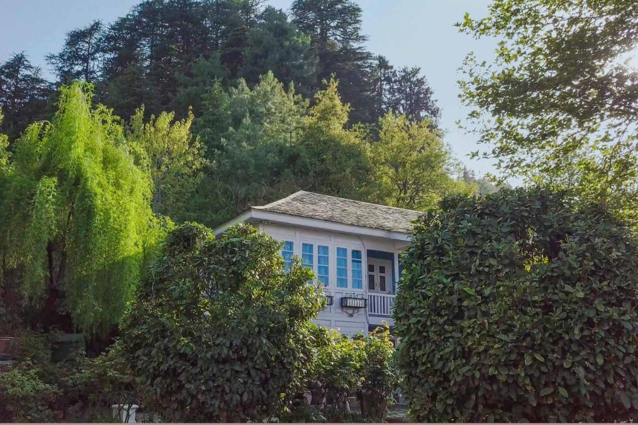 Stayvista At Violet Hill With Bonfire, Gazebo & Hill View 심라 외부 사진